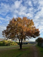 IMG_0491