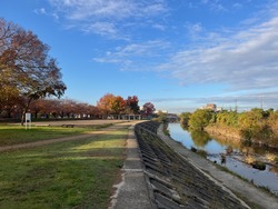 IMG_0493