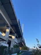 IMG_0486