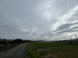 IMG_9146