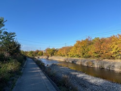 IMG_0611