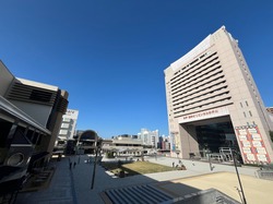 IMG_9555