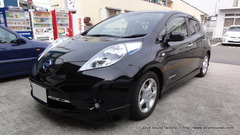 �ڤ����ͤ���������LEAF�ν������ԡ������˥����ѡ��ǥåɥ˥󥰻ܹ���