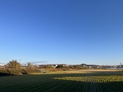 IMG_0954