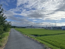 º£Æü¤«¤é£¹·î¤Ç¤¹¡£