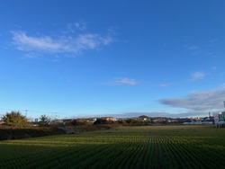 IMG_0637