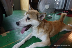 ����10���ܶ�ΰ١��������׻��ٶȤ������ޤ���