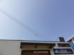 JUKE �����ѡ��ǥåɥ˥󥰻ܹ������θ����