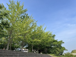IMG_5451