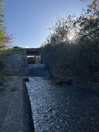 IMG_0236