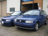 polo4