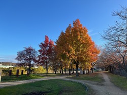 ¥¨¥¹¥Æ¥£¥Þ¤Ë¥¢¥ë¥Ñ¥¤¥ó¥Ê¥Ó¼èÉÕ´°À®