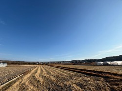 IMG_1611