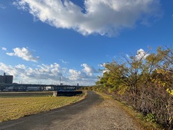 IMG_0910