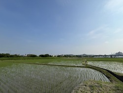 IMG_5455