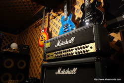 ¥¢¡¼¥¹¥·¥§¥¤¥«¡¼¡ØSurvive¡Ù¥®¥¿¡¼¥½¥íÃÆ¤¤¤Æ¤ß¤¿¢ö