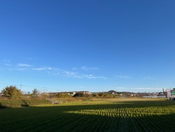 IMG_0608