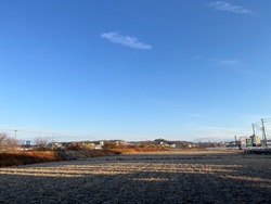 IMG_1601
