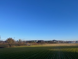 IMG_0909