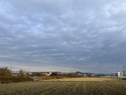 12��21��(��) ���Ϥ褦�������ޤ���