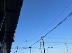 IMG_9551