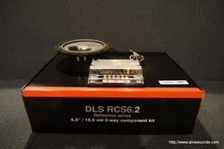 ɡϥ֥å DLS RCS6.2+ѡǥåɥ˥󥰻ܹ