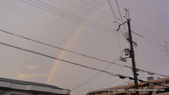 LEGACY OUTBACK �����ѡ��ǥåɥ˥󥰡��ե����&�ꥢƱ���ܹ��ܹ���