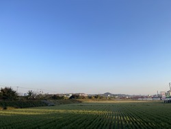 IMG_0433