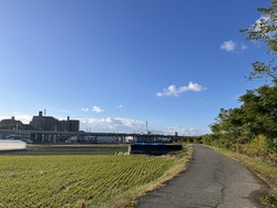IMG_0237