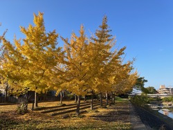 12��6��(��) ������ͼ��������Ź���饬��Ǥ������ԡ������פ�