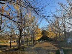 IMG_0768