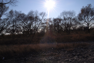 090104_Hamamatsu.jpg