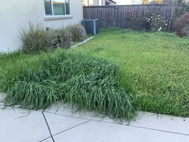 68a340d3e92b4_f4srtyg8udle1-jpeg__700