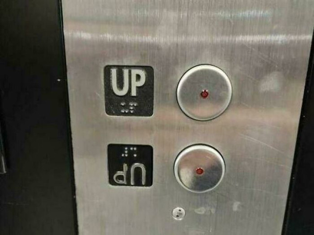 698bd8f7df4ec_5vyq7jecapig1-jpeg