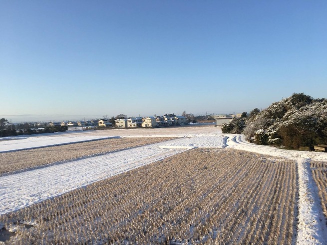 27023410_10157412513474466_8166260775085674511_o