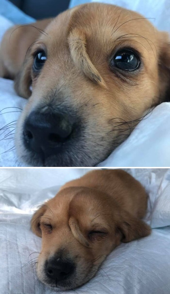 67e6859b75f90_mind-blowing-photos