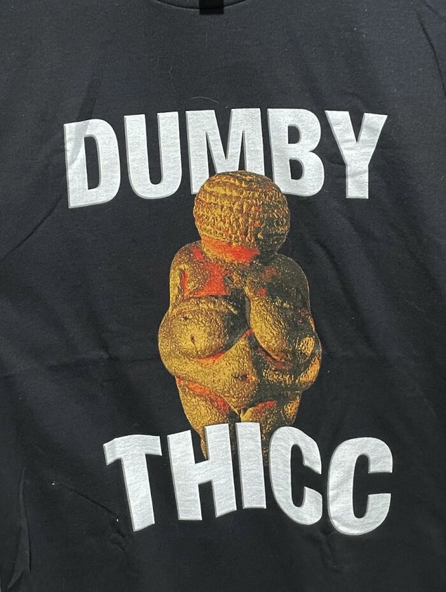 shirts-that-go-hard-64ba4305efb5e__700