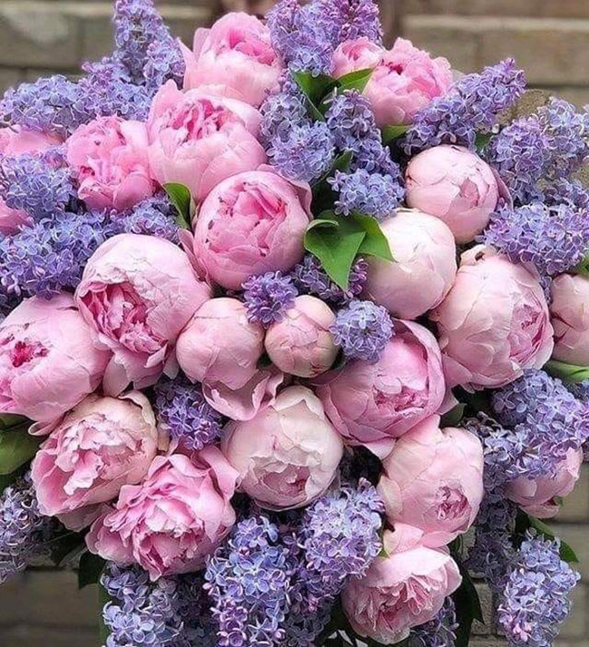 creative-gardening-pictures-135-62ab1cc9b08e9__700