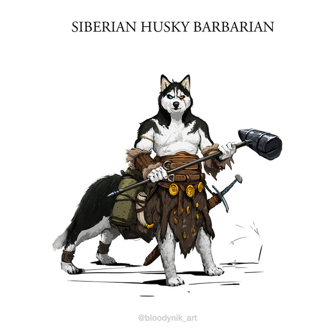 Husky-Barbarian-5badb2900fca4-png__880