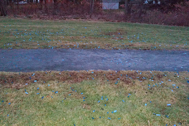 infuriating-lazy-people-35-654c8c29cf15c__700