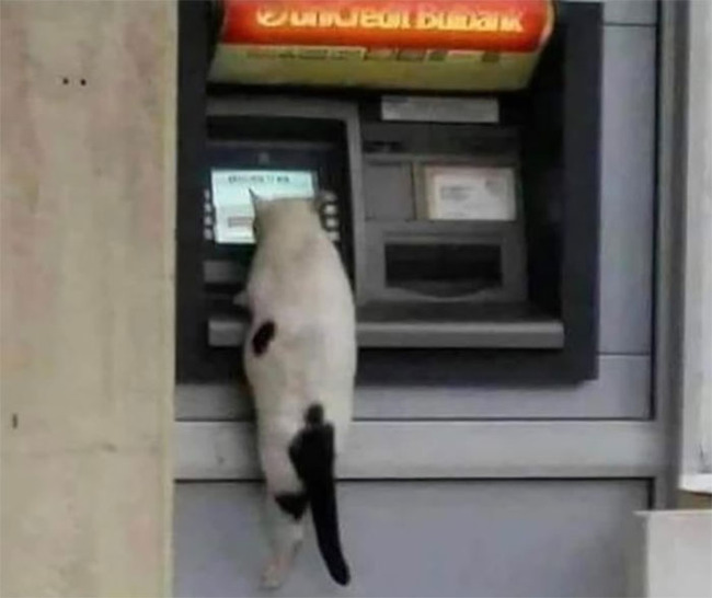 48-644231438c08d__700