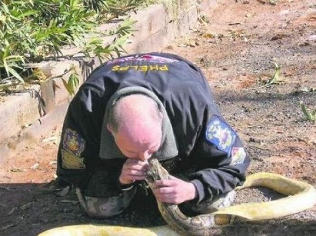 68ca9701b1794_z4l9p73dwmla1__700