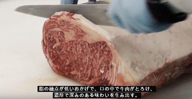 米沢牛 山形観光 海外の反応 イギリス人