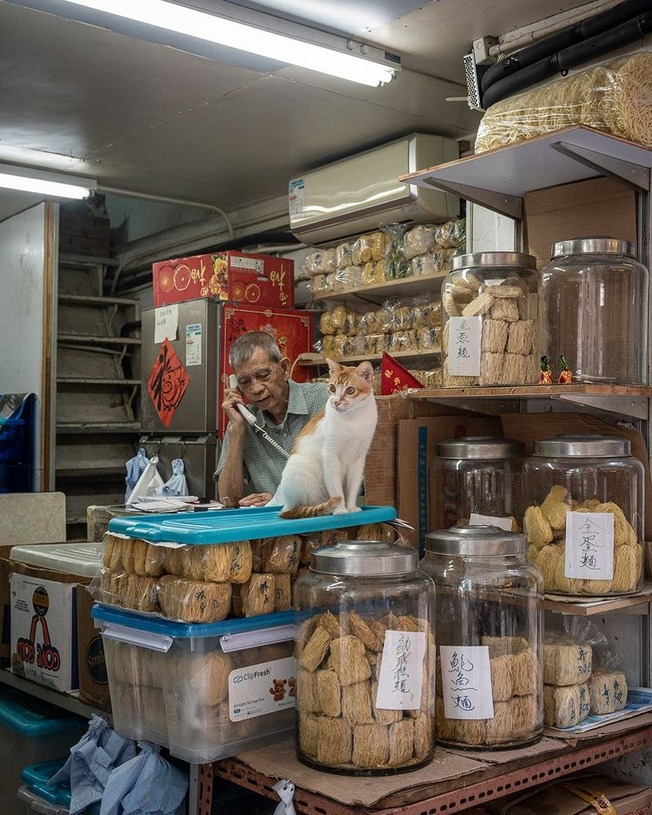 241027117_10161817360611840_3647094429930330961_n