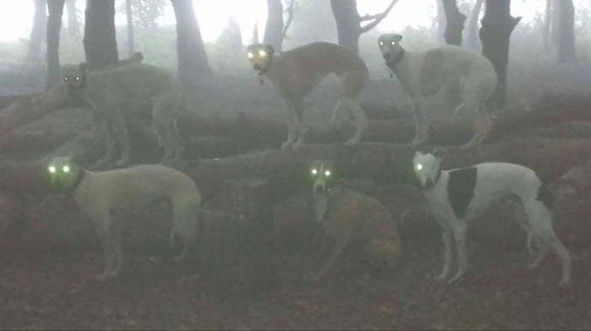 5f6c4774ef8bf_wandzjqvkpi31__700