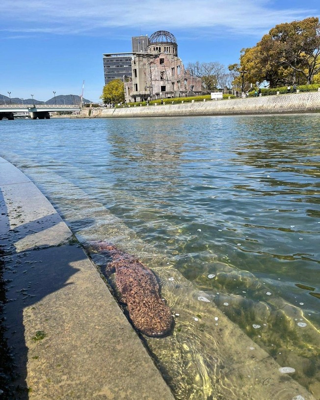 278132528_3263910880508140_5183464645032038550_n