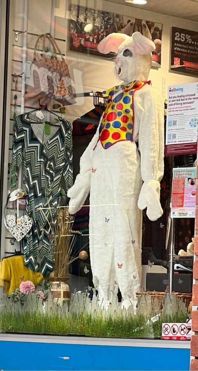 cringe-charity-shop-findings-64463a993ecce__700