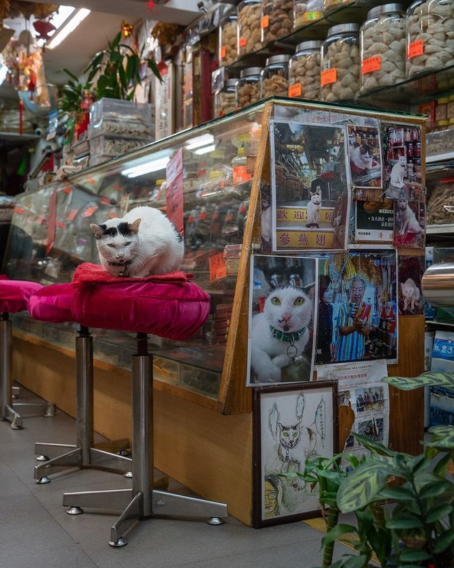 240734971_10161817360911840_2301878027731540266_n