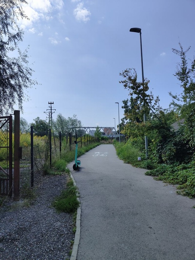 1723281835899174 (1)