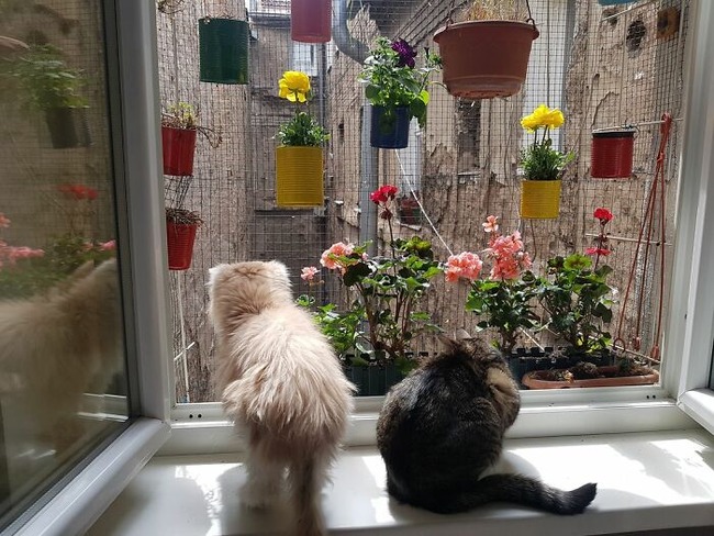 view-from-your-window-41-642aa13e45e8e__700 (1)